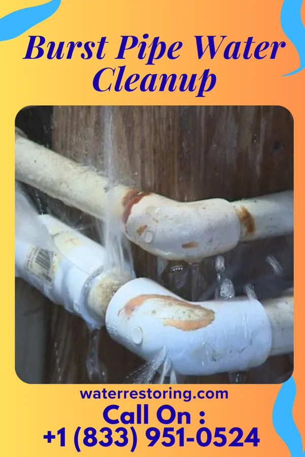 Burst Pipe Water Cleanup in St. Robert, MO