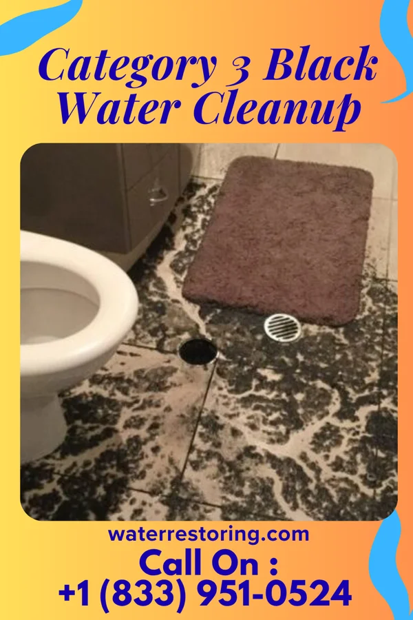 Category 3 Black Water Cleanup in St. Robert, MO