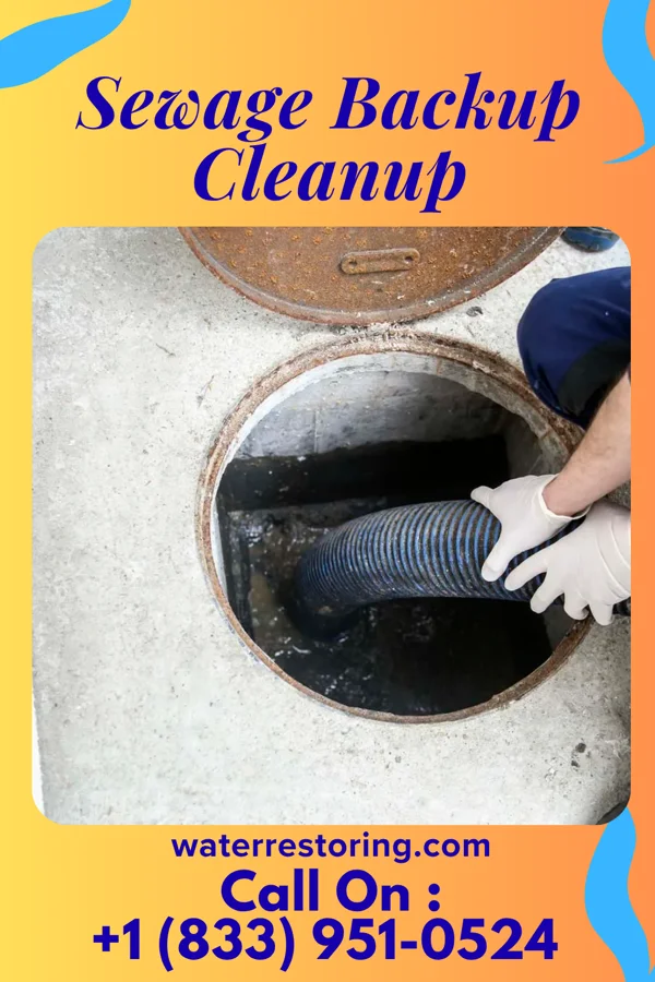 Sewage Backup Cleanup in St. Robert, MO