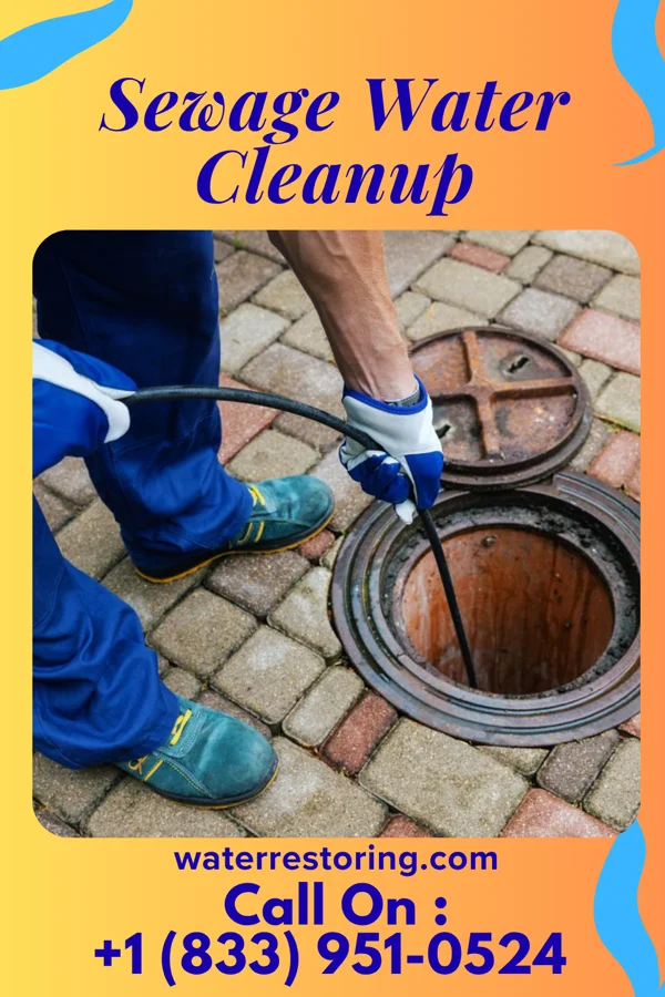 Sewage Water Cleanup in St. Robert, MO