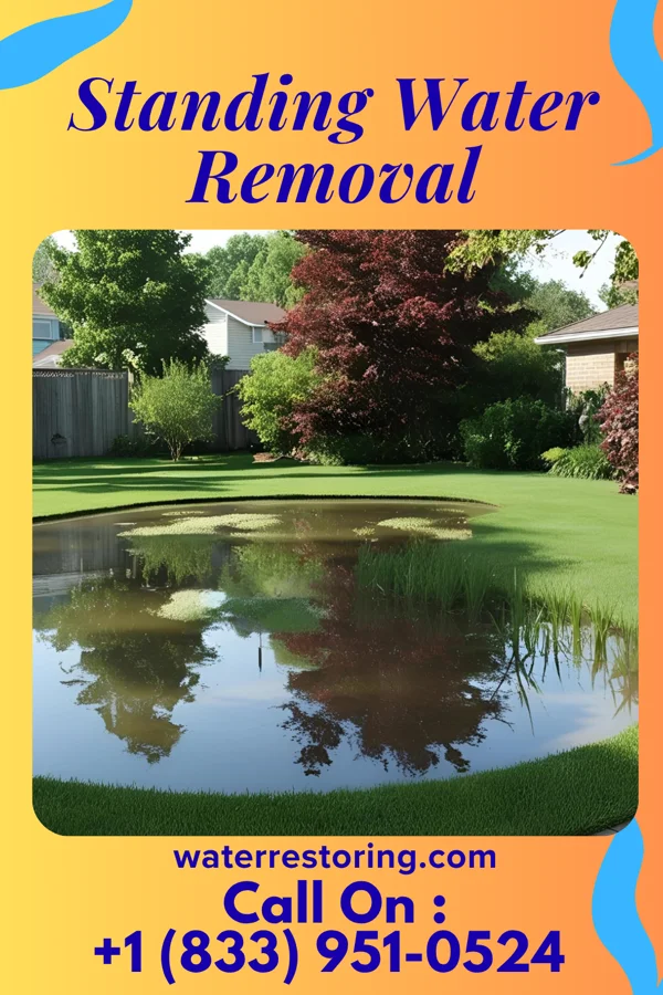 Standing Water Removal in St. Robert, MO